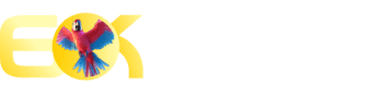 Bet jet x - 466bet

